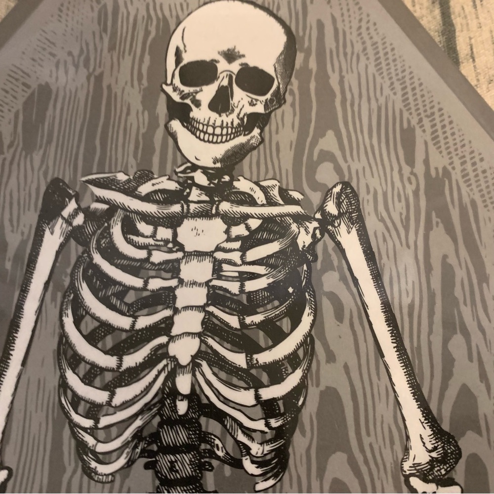 Skeleton Melamine Plate Serving Halloween Party Holiday Spooky 13th & Elm New - Picture 2 of 10